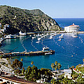 Santa Catalina Island Ca